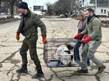 � ����������� ��������� ������������� 62 ��������� ��������