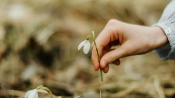 �� 9 ��� ������ � ����� �� 1 ��� ������ �� ���� ������������