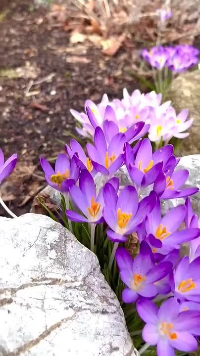 � ������ �����, ������ �������������� ������! ����� ���� ���� ������� ���� �������� ����������!