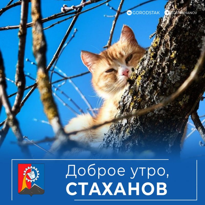 ������ ����, ������������!