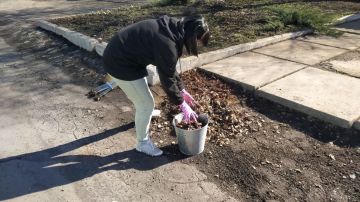 ������ ��������: ���������� �������� ������� � ��������� ������ ����� ������� �������