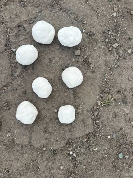 11111��������� ����������� ��������� �������� ��������, ����������������� ��������� �� ���������� ����������