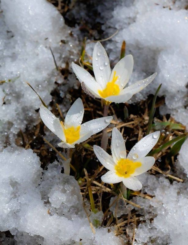 �� ��������� ���������� ����� �������� ����� ��� ���� �������� ����