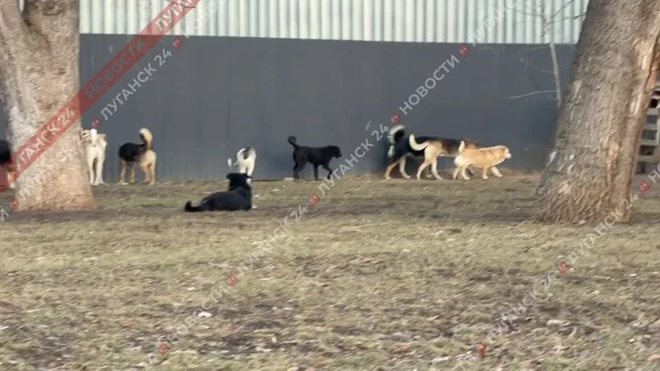 � ���������� ��������� �����