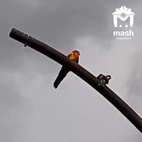 �������-������� �������� � �������� � �������� � ���� ��� � ������������ �����������