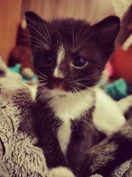 13 ����� �� ���������� ��������� �������� ���������� �������������� ���������� ����������