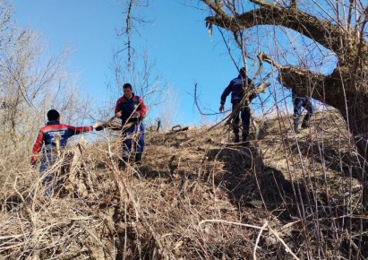 ��������� � �������� ����������� ������ �� ���� ������