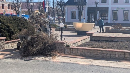 ����� ������ ��������: ��������� �� ����������� ������� ������ �����������