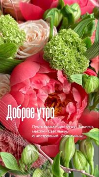 ������� ������� - 13 �����