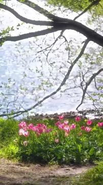 � ������ ��������� �����, ������ �������������� ������! ��������� ���� ����������!