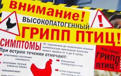 ��� ����� ����� ���� (������� �����)