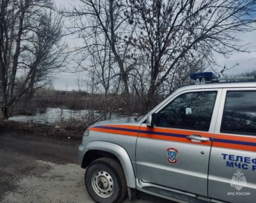 �������� ���������� �� ����� � ���� ���������� ������������, ������������� �������� 14 ������ � ���