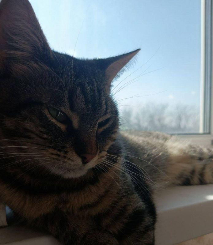 14 марта на территории Луганской Народной Республики прогнозируется переменная облачность