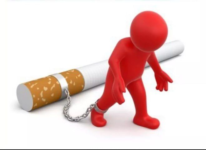 ������������ �������������