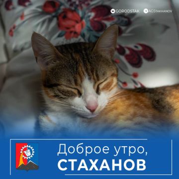 ������ ��������� ����, ������������!