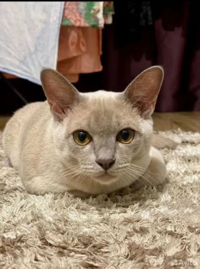 15 марта на территории Луганской Народной Республики прогнозируется переменная облачность