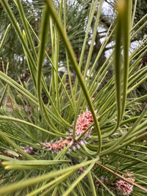 С добрым утром, жители Марковского муниципального округа !