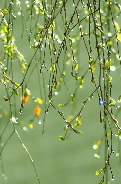 С добрым утром!. Сегодня 14 марта, суббота! Суббота встречает нас ярким солнцем и свежим ветерком! Пусть этот день принесет вам радость, новые силы и приятные моменты с близкими