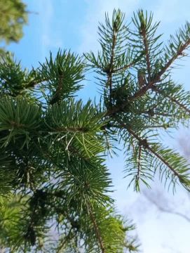 Доброе утро, Кировск!. Пусть эти выходные подарят вам массу положительных эмоций и незабываемых моментов! @agklnr #Кировск