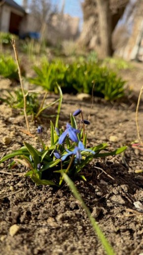 ����� �� ������������� � ��������� ������������ ������ ���������� ��������