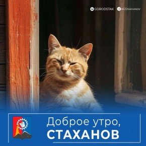 ������ ����, ������� ������