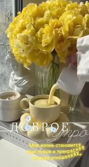 � ������ ��������� �����, ������ �������������� ������! ���� �������� ��������!