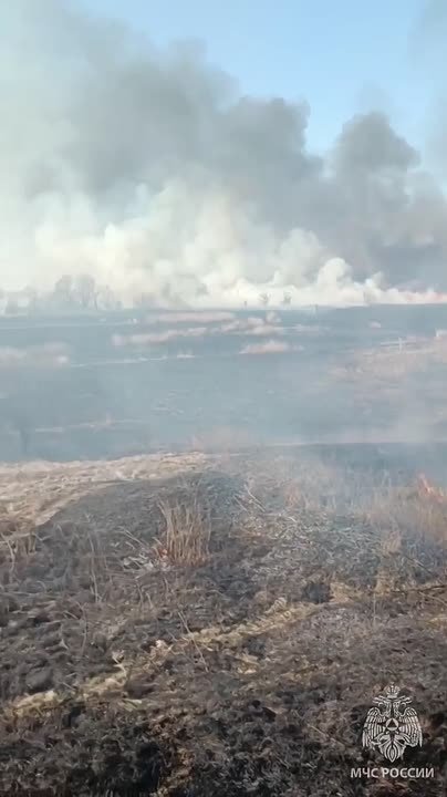 Сотрудники МЧС ликвидировали сухотравный пожар в Белокуракино