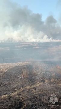 Сотрудники МЧС ликвидировали сухотравный пожар в Белокуракино