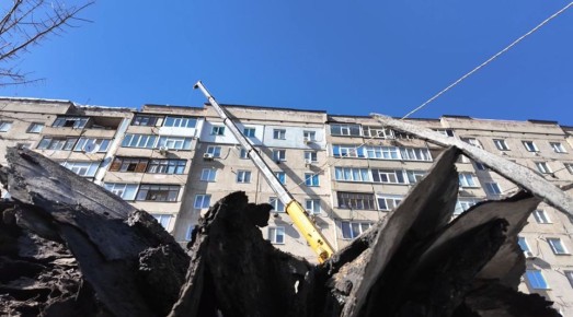 �� ���������, 1 ������������ ����������� ������ ������