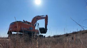 �������� ��������������� ��������� 5 ������� � ������ ����������� � ������-���������� ������� (���� ���������, �������, ������� �������)