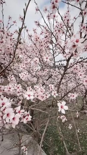 � ������ ���������� �����, ������ �������������� ������!