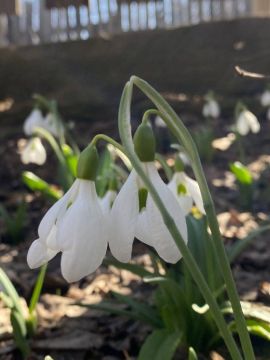 Синоптики прогнозируют 16 марта в Республике до 13 градусов тепла, днем местами небольшой дождь — пресс-служба Главного управления МЧС России по ЛНР