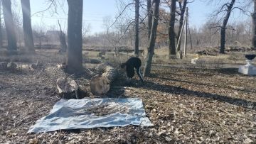 � �������-������������� ��������� "���� � ������� �������� ������������" ������ ������������ "������ �������"