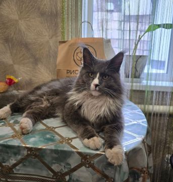 16 марта на территории Луганской Народной Республики будет облачно с прояснениями