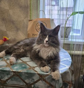 16 марта на территории Луганской Народной Республики будет облачно с прояснениями