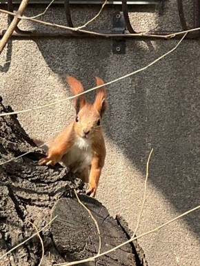 ����� ���� �� ������ ��������