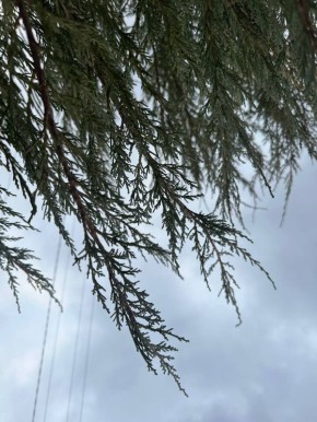 � ������ �����, ������ ����������� �������������� ������ !