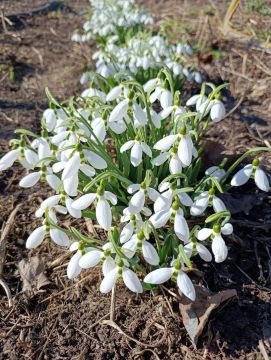 Понедельник - с яркими, солнечными кадрами от наших подписчиков
