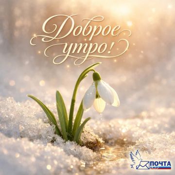 Доброе утро! Холода отступают, солнце согревает первые весенние дни, а природа пробуждается