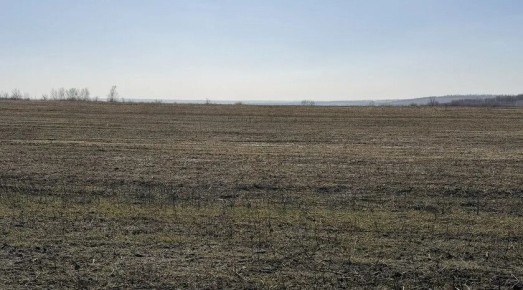 Агрономы с начала года обследовали более 79 тыс. га сельхозземель в ЛНР