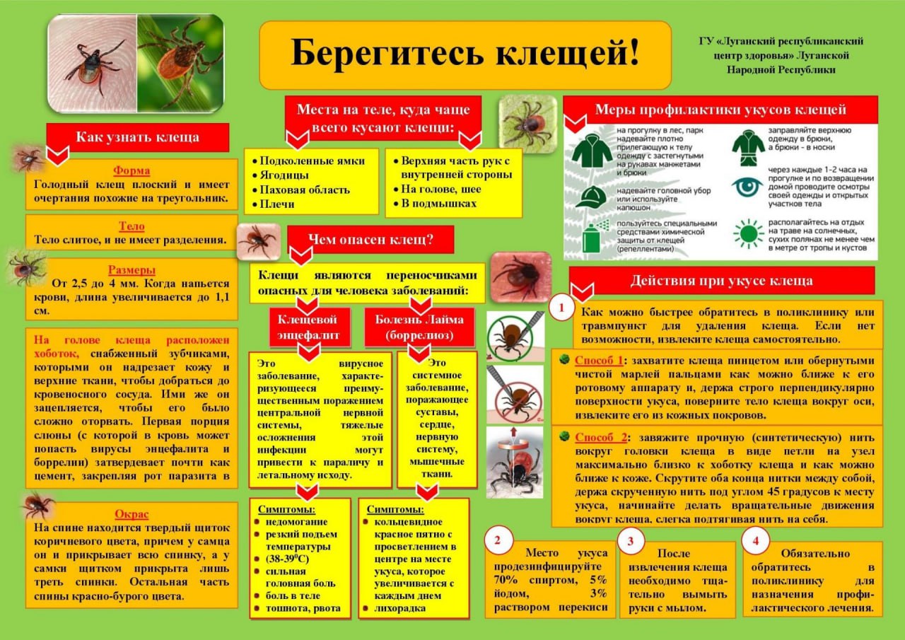 С какими опасными ситуациями для здоровья можно столкнуться при укусах клещей? Как помочь себе и пострадавшему?