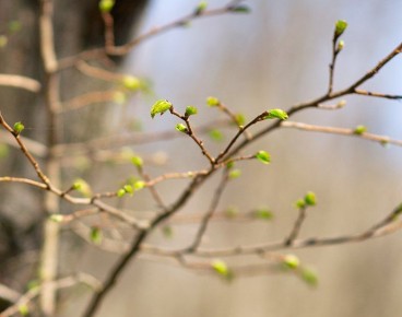 � ��� 16 ����� ��������� ������� �����