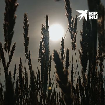 � ����� ��� ���������� ��������� ����� ��������� ������ �����