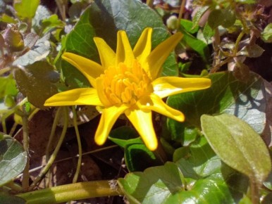 ��������� ������������ 17 ����� � ��� �� 1 ������� ���� ���� ����� �� 10 �������� ����� ����, ������� ������� ��������� � ��������� �����, � �������� ������� � ������ ������