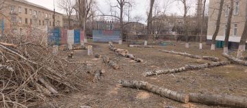 ������ ��������: ������������ ������ ��������� ������������ ��� ��������� �� �������: ���������������� ������������ ���������� �� ����� ������, ����� ������