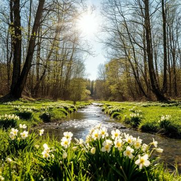 ������� ������� - 17 �����