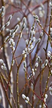 � ������ �����!. ������� 17 �����, �������! ����� � ����� ������ ����� ����� ��� ������� � ����� ��� �����