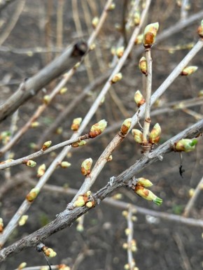 � ������ �����, ������ ����������� �������������� ������ !