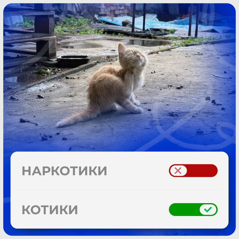 ���������� ��������� ������ �����? ��!