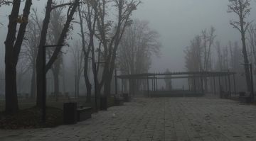 ��������� ������������ 19 ����� � ��� �� 15 �������� �����, ����� � �����